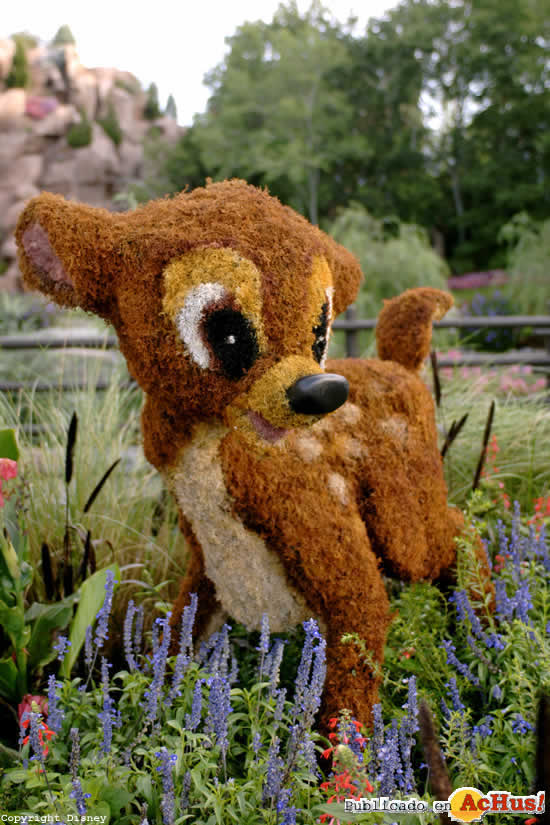 Imagen de Parque Temático Epcot  Bambi Garden Festival